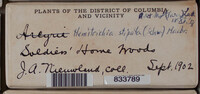 Image Associated With the Occurence